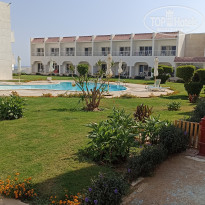 фото из отзыва ID 2739678