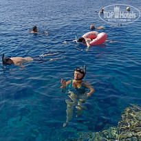 фото из отзыва ID 2739678