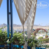 фото из отзыва ID 2739682