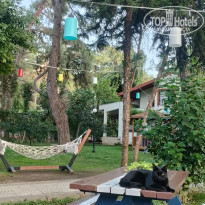 фото из отзыва ID 2739685