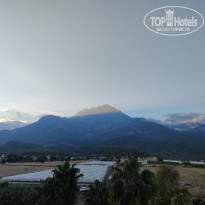 фото из отзыва ID 2739685