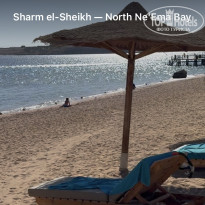 фото из отзыва ID 2739692