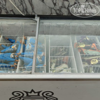 фото из отзыва ID 2739695