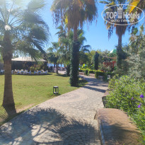 фото из отзыва ID 2739708