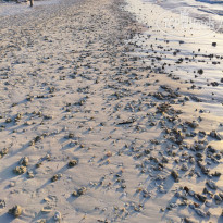 фото из отзыва ID 2739710