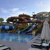 фото из отзыва ID 2739712