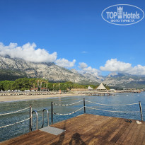 фото из отзыва ID 2739579