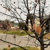 фото из отзыва ID 2739729