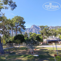 фото из отзыва ID 2739674