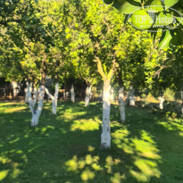 фото из отзыва ID 2739674