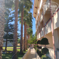 фото из отзыва ID 2739674