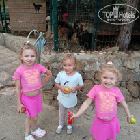 фото из отзыва ID 2739594