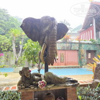 фото из отзыва ID 2739749