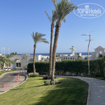 фото из отзыва ID 2739756