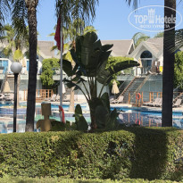 фото из отзыва ID 2739759