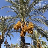 фото из отзыва ID 2739759