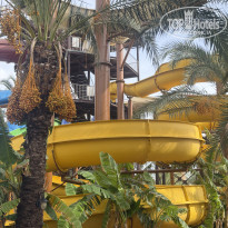 фото из отзыва ID 2739759