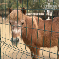 фото из отзыва ID 2739759