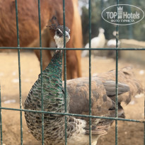 фото из отзыва ID 2739759