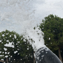 фото из отзыва ID 2739759