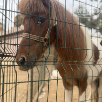 фото из отзыва ID 2739759