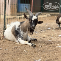 фото из отзыва ID 2739759