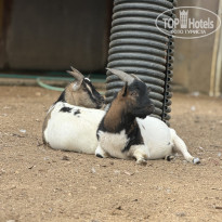 фото из отзыва ID 2739759