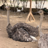 фото из отзыва ID 2739759