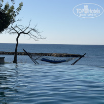 фото из отзыва ID 2739759