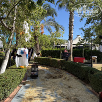 фото из отзыва ID 2739759