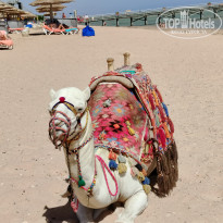 фото из отзыва ID 2739776