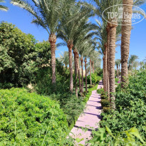 фото из отзыва ID 2739776