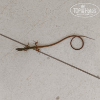 фото из отзыва ID 2739779