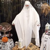 фото из отзыва ID 2739779