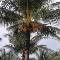 фото из отзыва ID 2739779