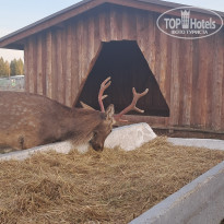 фото из отзыва ID 2739790