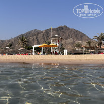 фото из отзыва ID 2739807