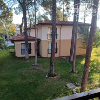 фото из отзыва ID 2739834