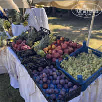 фото из отзыва ID 2739864