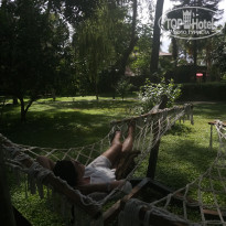 фото из отзыва ID 2739868