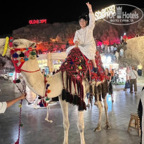 фото из отзыва ID 2739878