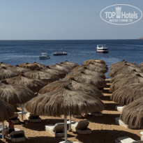 фото из отзыва ID 2739894