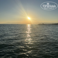 фото из отзыва ID 2739900