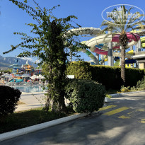 фото из отзыва ID 2739903