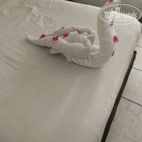 фото из отзыва ID 2739907