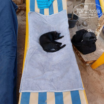 фото из отзыва ID 2739907