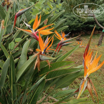 фото из отзыва ID 2739914