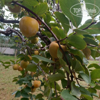 фото из отзыва ID 2739914