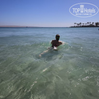 фото из отзыва ID 2739920