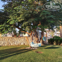 фото из отзыва ID 2739923